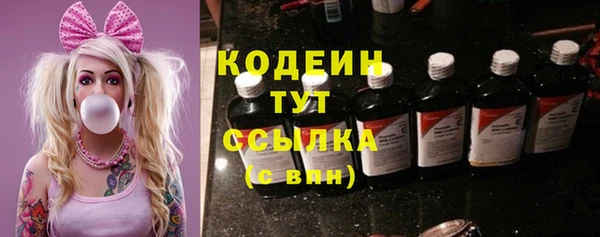 прущий лед Алзамай