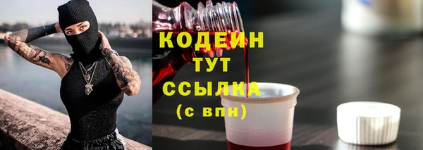прущий лед Алзамай