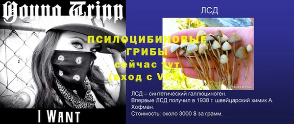 прущий лед Алзамай