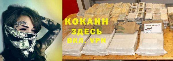 прущий лед Алзамай
