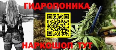 стаф Ставрополь