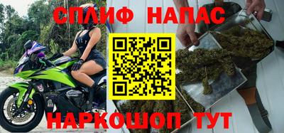 стаф Ставрополь