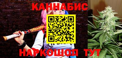 стаф Ставрополь
