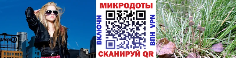 где купить наркоту  Сорочинск  Псилоцибиновые грибы Magic Shrooms 
